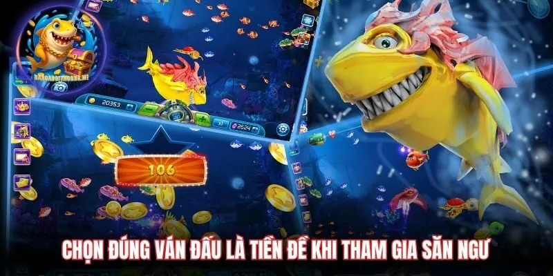 Chọn đúng ván đấu là tiền đề khi tham gia săn ngư