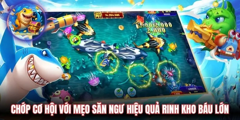 Chớp cơ hội với mẹo săn ngư hiệu quả rinh kho báu lớn