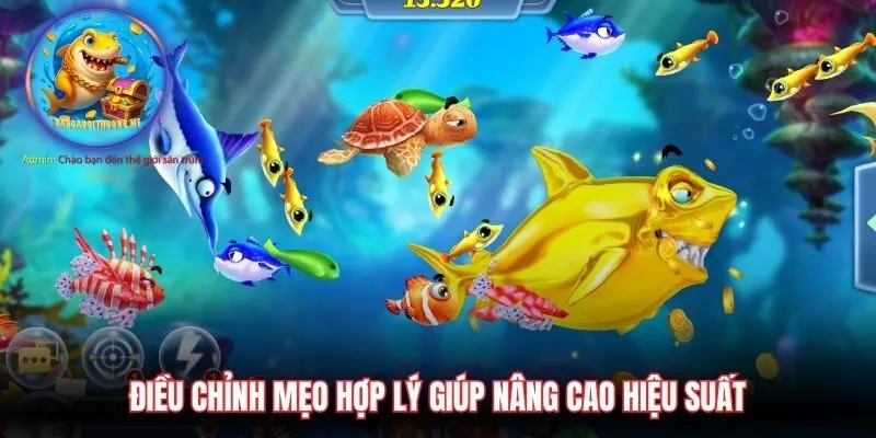 Điều chỉnh mẹo hợp lý giúp nâng cao hiệu suất