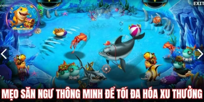 Mẹo săn ngư thông minh để tối đa hóa xu thưởng