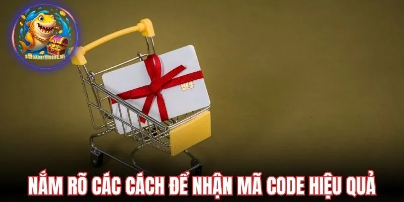 Nắm rõ các cách để nhận mã code hiệu quả