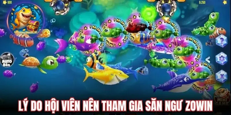 Lý do hội viên nên tham gia săn ngư tại Zowin